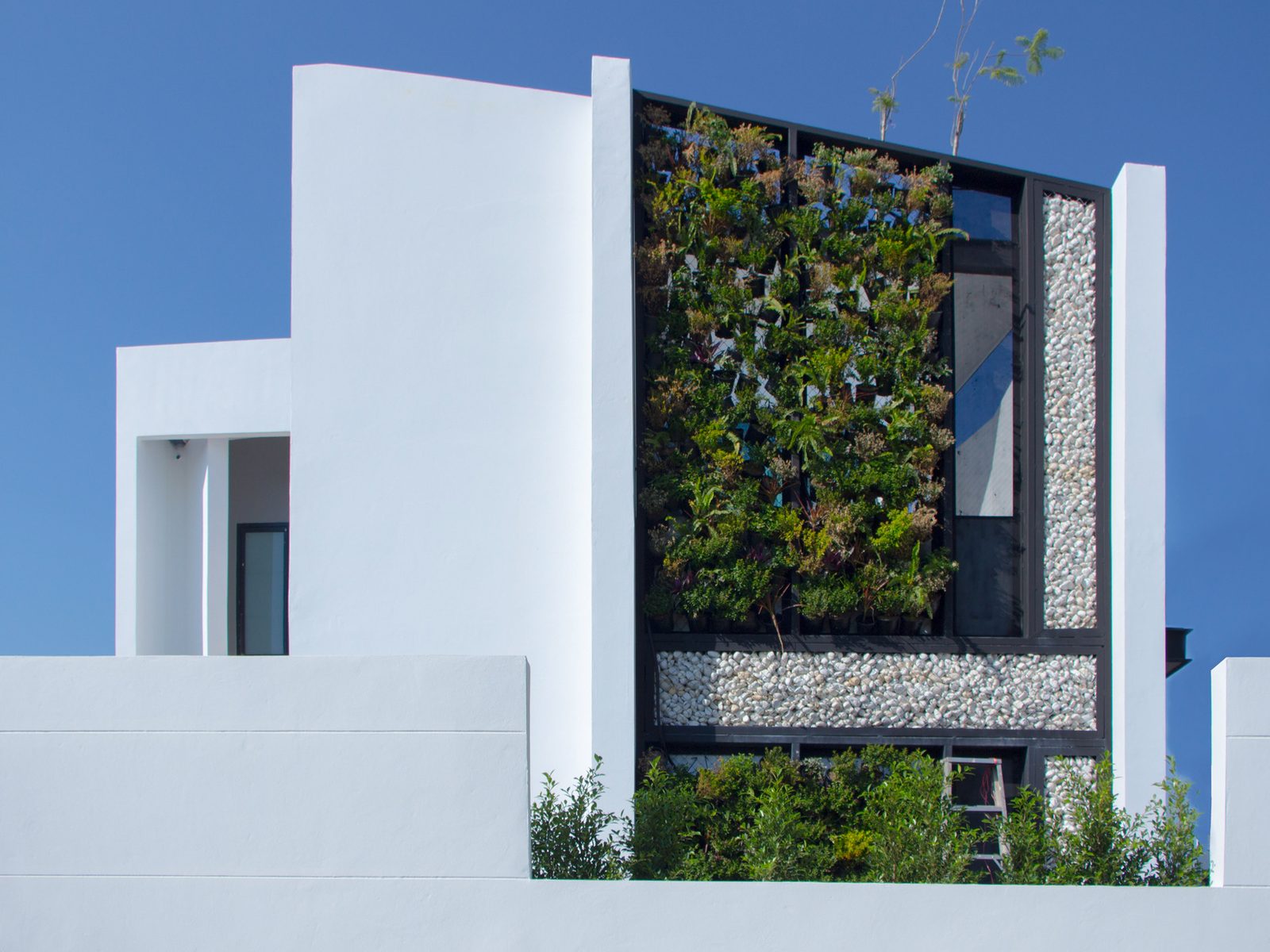 House No.40